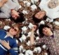 Grizzly Bear tickets at TicketsNow