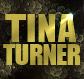 Click here for Tina Turner tickets.