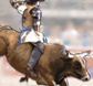 Professional Bull Riders tickets at TicketsNow