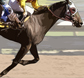 Belmont Stakes tickets.