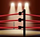 Evander Holyfield Tickets