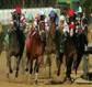 Kentucky Derby tickets for the Kentucky Derby!