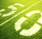 Indianapolis Colts tickets from TicketsNow