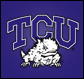 Click here for TCU Horned Frogs football tickets.
