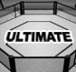 Ultimate Fighting Championship tickets.